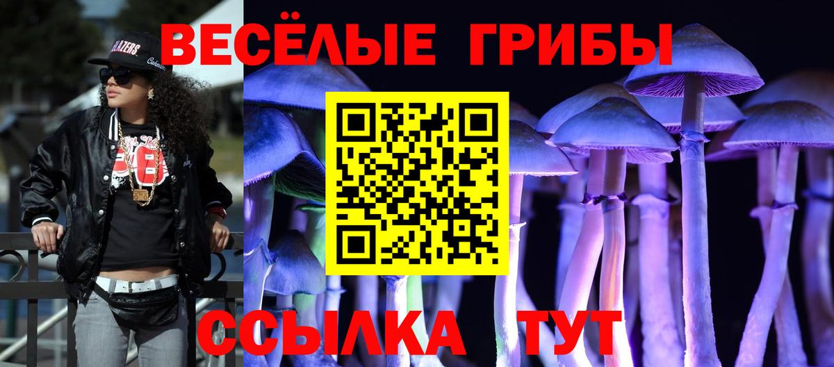 Псилоцибиновые грибы Magic Shrooms  купить наркотик  Электрогорск  Вход с VPN 