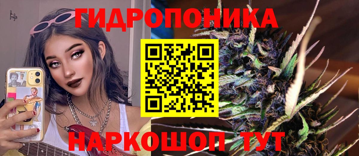Шишки марихуана планчик  Вход с VPN  Бошки марихуана THC 21%  Электрогорск  МАРИХУАНА Ganja  Бошки марихуана тримм 